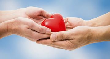 Dono Day, un giro d'Italia da 50mila presenze